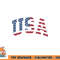 USA Shirt Women Men Kids Patriotic American Flag 4th of July png, digital download copy.jpg
