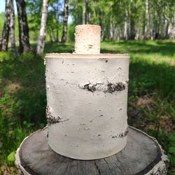 Natural white birch bark box