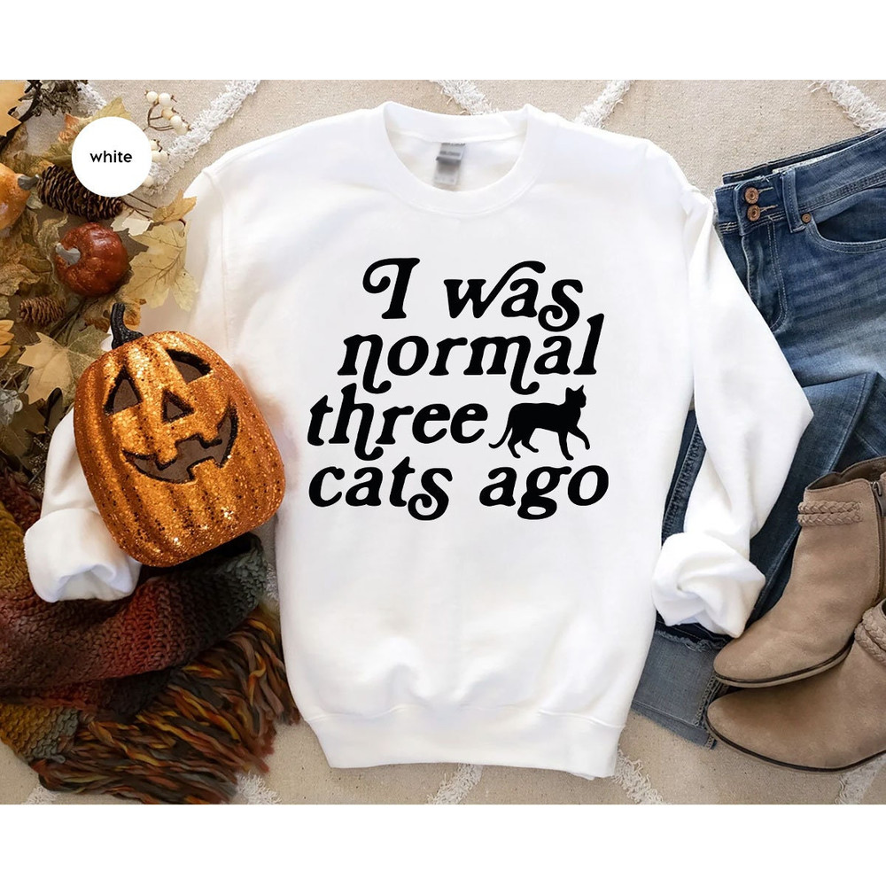 Cat Mom Hoodie, Funny Gifts for Cat Mom, Cat Sweatshirt, Cat Long Sleeve Shirt, Cat Dad Crewneck Sweatshirt, Funny Cat Owner Shirts - 4.jpg