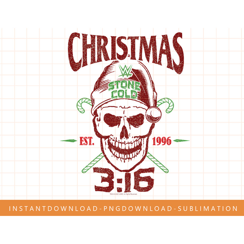 WWE Christmas Stone Cold Steve Austin Skull T-Shirt copy.jpg