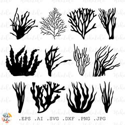 seaweed svg, seaweed silhouette, seaweed cutting, seaweed clipart png, seaweed stencil dxf, templates dxf