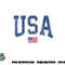 USA Shirt Women Men Kids Patriotic American Flag Distressed png, digital download copy.jpg