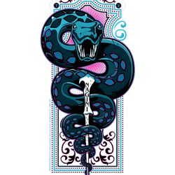 harry potter nagini with lord voldemort s wand t-shirt.pngharry potter nagini with lord voldemort s wand t-shirt