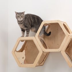 Cat Hexagon Shelves, Cat Wall House Post, Minimalist Honeycomb Cat Furniture, Cat Play, New Cat Owner Gift, Wall Mount