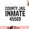 Halloween County Jail Inmate Prisoner Costume Party png, instant download.jpg