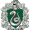 Harry Potter Slytherin Rough Crest T-Shirt.pngHarry Potter Slytherin Rough Crest T-Shirt.png