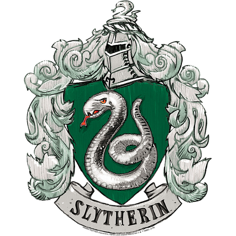 Harry Potter Slytherin Rough Crest T-Shirt.pngHarry Potter Slytherin Rough Crest T-Shirt.png