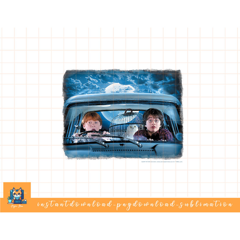 Harry Potter Ron & Harry In The Flying Car png, sublimate, digital download.jpg