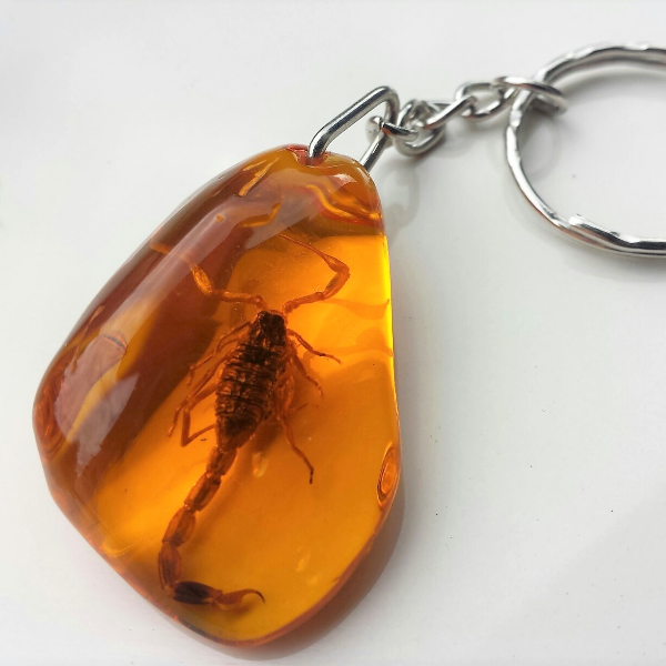 Real Scorpion Insect Keychain in Amber Epoxy Resin Key Chain Ring Yellow Gold Amber Scopio small cute Gift for Kids Adults christmas birthday gift friend boyfri