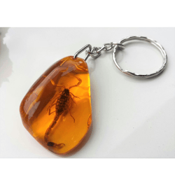 Real Scorpion Insect Keychain in Amber Epoxy Resin Beetle Keyring Yellow Gold Scopio small Gift Kids Adults christmas