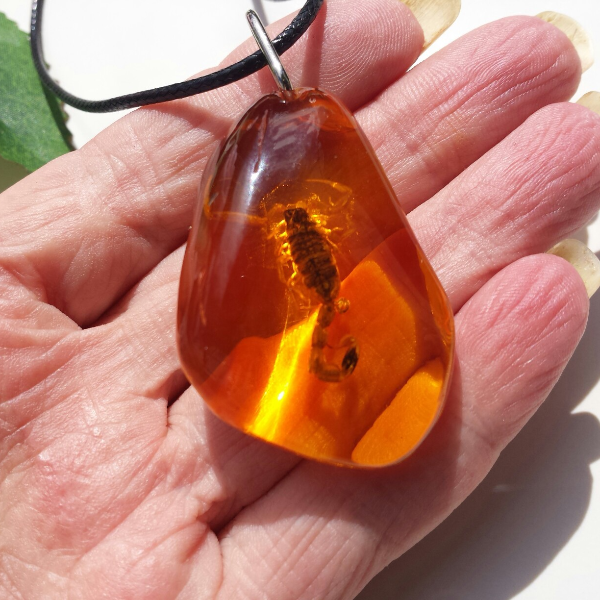 Real Scorpion Insect taxidermy Keyring Real beetle in taxederma resin Amber Gift scorpio zodiac gift.jpg