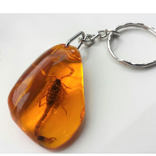 Real Scorpion Insect Keychain in Amber Resin Beetle Keyring Yellow Gold.jpg