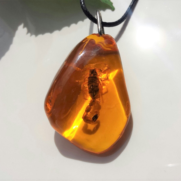 Real Scorpion Necklace Amber Resin Insect Jewelry Pendant Amulet necklace Protection Necklace Bug Necklace   Taxidermy — копия.jpg