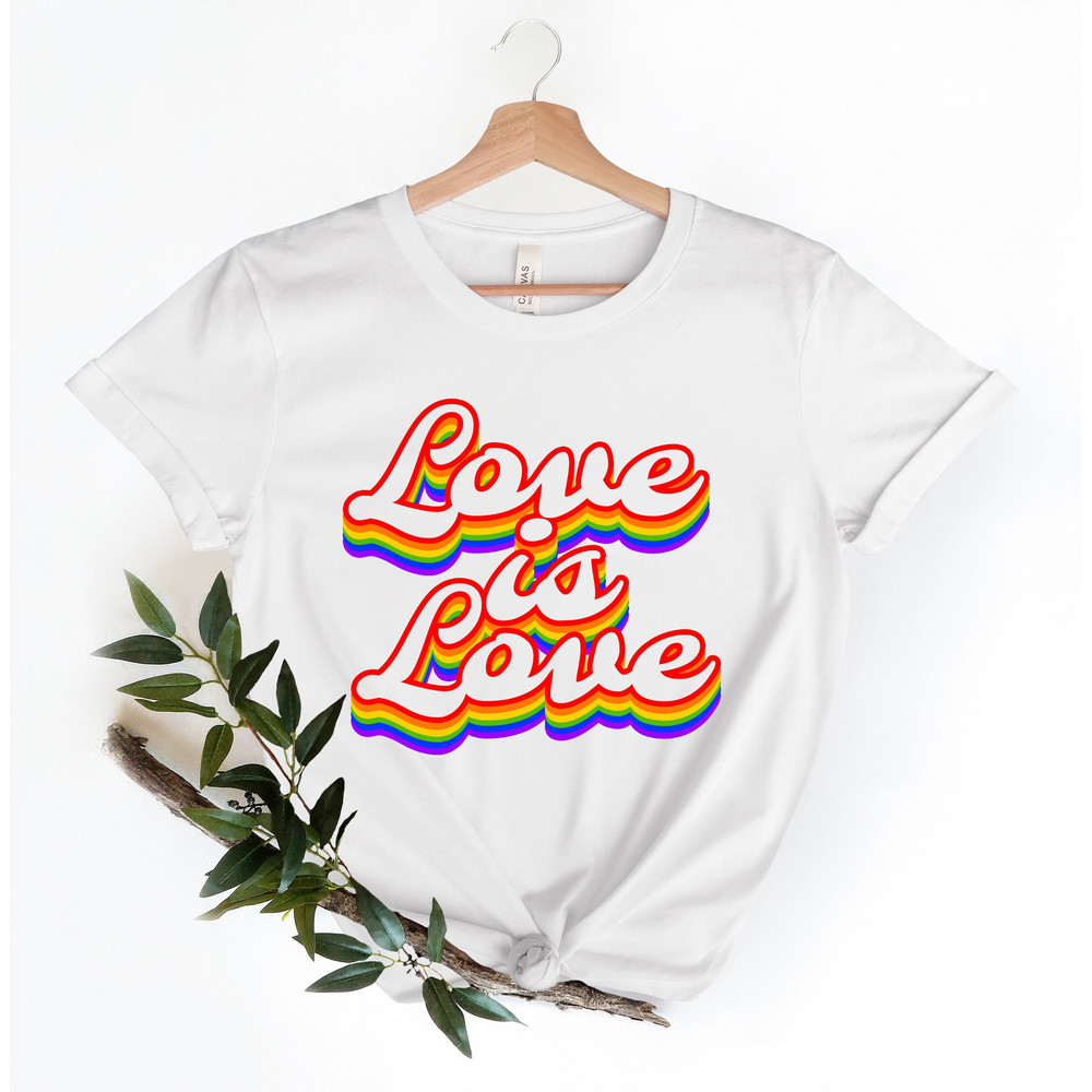 Love is Love Shirt, LGBQT Pride Shirt, Women Men Kids Toddler Baby Rainbow Shirt Retro, LGBT Shirts, Love Wins Graphic T-Shirt,Equality,Gift - 1.jpg