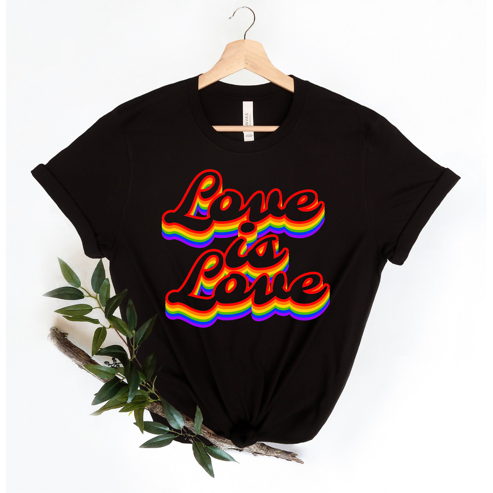 Love is Love Shirt, LGBQT Pride Shirt, Women Men Kids Toddler Baby Rainbow Shirt Retro, LGBT Shirts, Love Wins Graphic T-Shirt,Equality,Gift - 4.jpg
