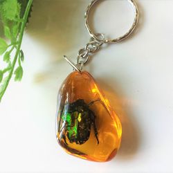 Real insect In Resin keychain Green Bug Beetle In Amber Resin Keyring cute little gift kids christmas gift for friend