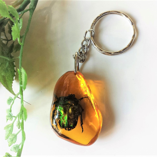 Real insect Green Bug Beetle In Amber epoxy Resin keychain handmade Entomology Collectibles sale cute little gift for kids christmas gift for best friends.jpg