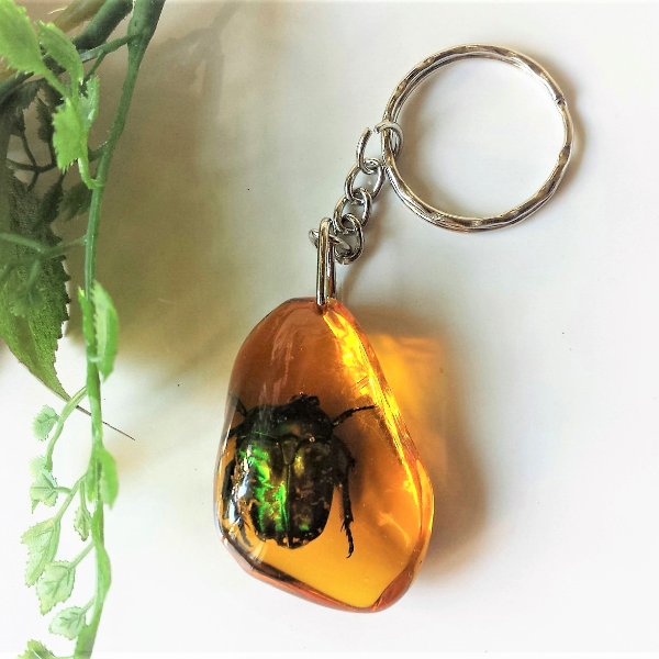 Real insect Green Bug Beetle In Amber epoxy Resin keychain handmade Entomology Collectibles sale cute little gift for kids christmas gift for best friends.jpg
