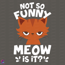 not so funny meow is it svg, trending svg, funny cat svg, me