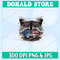 Donald Store.jpg