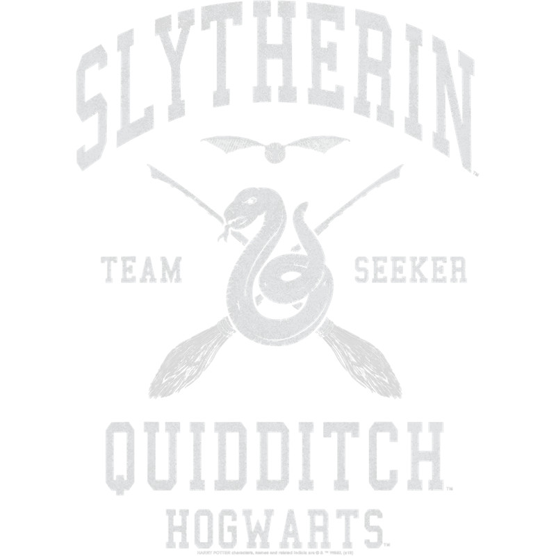 Harry Potter Slytherin Quidditch Team Seeker T-Shirt.pngHarry Potter Slytherin Quidditch Team Seeker T-Shirt.png