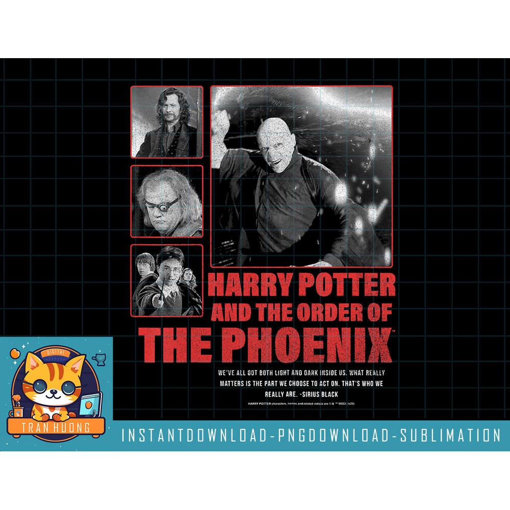 Kids Harry Potter And The Order Of The Phoenix Panel Poster png, sublimate, digital download.jpg