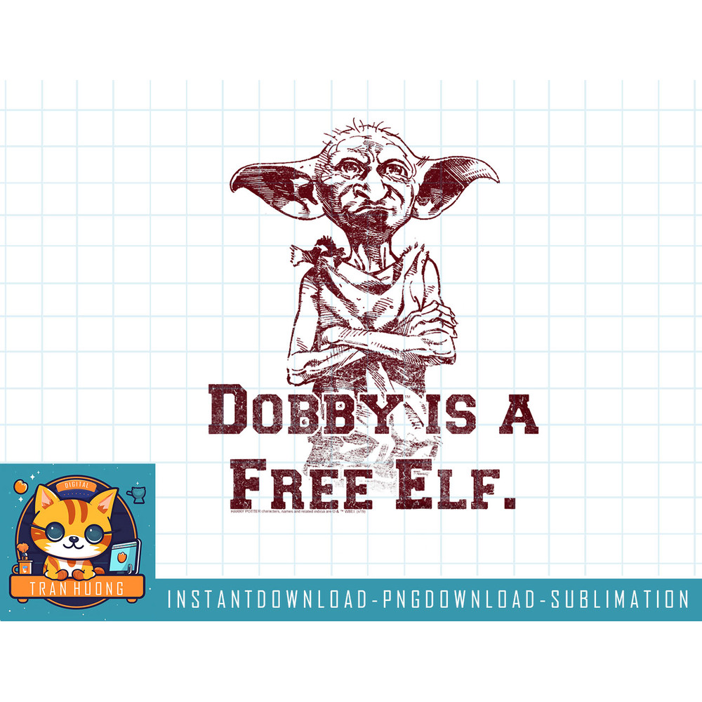 Kids Harry Potter Deathly Hallows 2 Dobby Is A Free Elf Youth png, sublimate, digital download.jpg