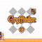 Kids Harry Potter Gryffindor Pride Plaid 07 png, sublimate, digital download.jpg