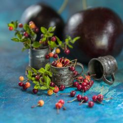 TUTORIAL Miniature cherries with branch  | Miniature food tutorial | Dollhouse miniatures