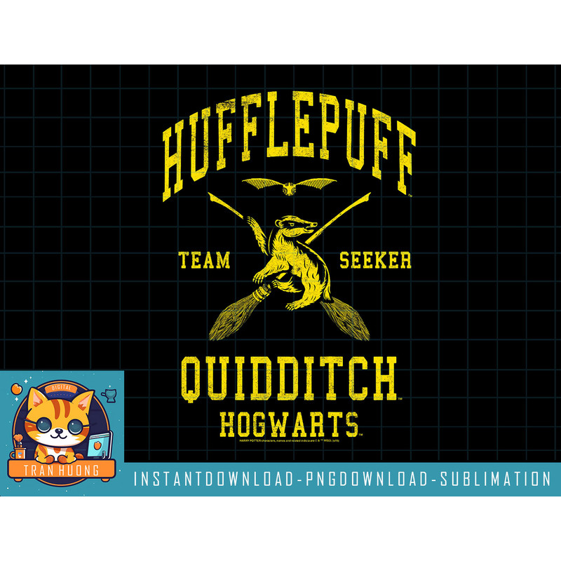 Kids Harry Potter Hufflepuff Team Seeker Quidditch Youth png, sublimate, digital download.jpg
