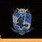 Kids Harry Potter Ravenclaw Quidditch Shield png, sublimate, digital download.jpg