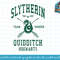 Kids Harry Potter Slytherin Bold Team Seeker png, sublimate, digital download.jpg