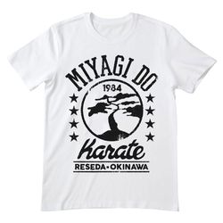 karate lessons life lessons shirt, miyagi do shirt, miyagi do t shirt, karate, cobra kai, miyagi do tshirt, karate kid