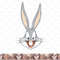Kids Looney Tunes Bug Bunny Big Face png, sublimation, digital download .jpg