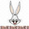 Kids Looney Tunes Bugs Bunny Sketched Big Face png, sublimation, digital download .jpg