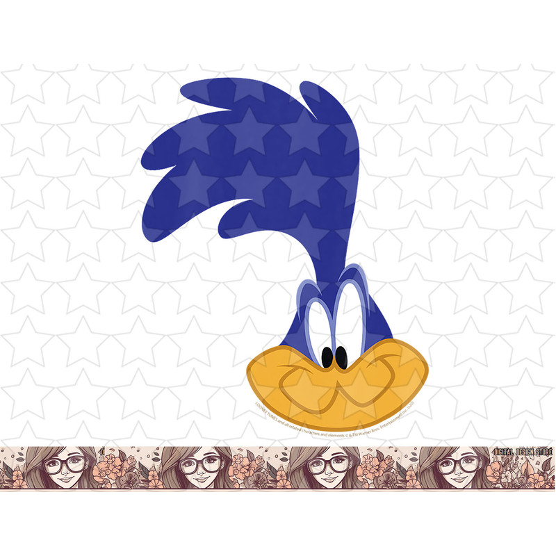 Kids Looney Tunes Road Runner Big Face png, sublimation, digital download .jpg