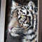 2 Small oil painting in a frame under glass - Tiger  5.9 - 3.9 in..jpg