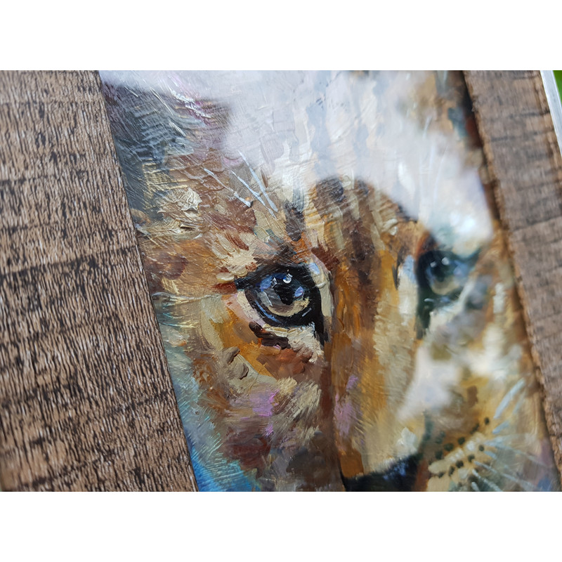 3 Small oil painting in a frame under glass - little lion 5.9 - 3.9 in (10-15cm)..jpg