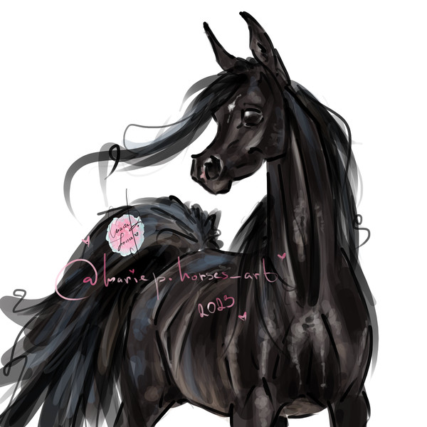 Black Arabian Horse ART commission custom original equine artist illustration pet portrait realistic drawing personalized painting equestrian gift artwork hand-