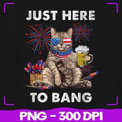 just here to bang usa png, flag funny beer png, 4th of july cat lover png, 4th of july png, sublimation, png files