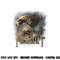 Hobbit Great Eagle T Shirt png, sublimation .jpg