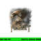 Hobbit Great Eagle T Shirt  png, sublimation .jpg