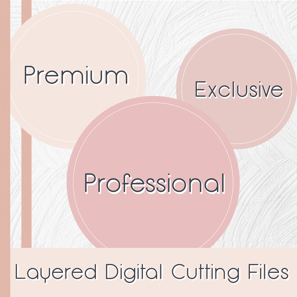 Firework SVG, 4th of July SVG, Patriotic SVG, American Flag Svg, Kids Shirt Svg, Png, Svg Files For Cricut, Sublimation Designs Downloads - 9.jpg