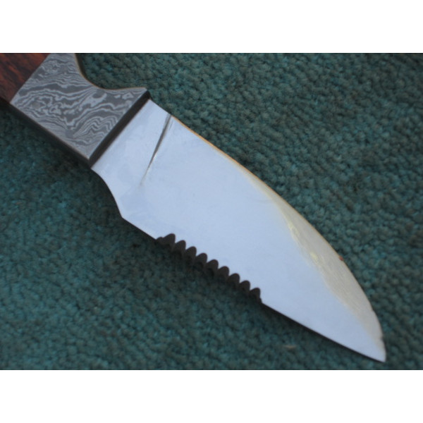 Fixed Blade Knife.JPG