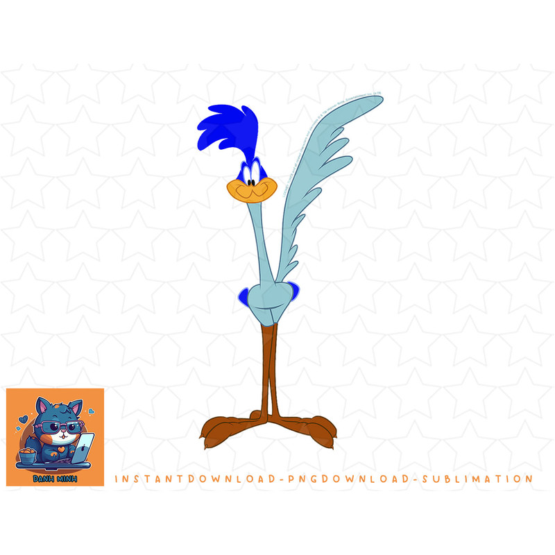 Looney Tunes Road Runner Simple Portrait png, sublimation, digital download.jpg