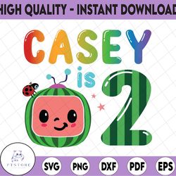 cocomelon personalized name and ages birthday png, cocomelon brithday png,cocomelon family birthday png, watermelon