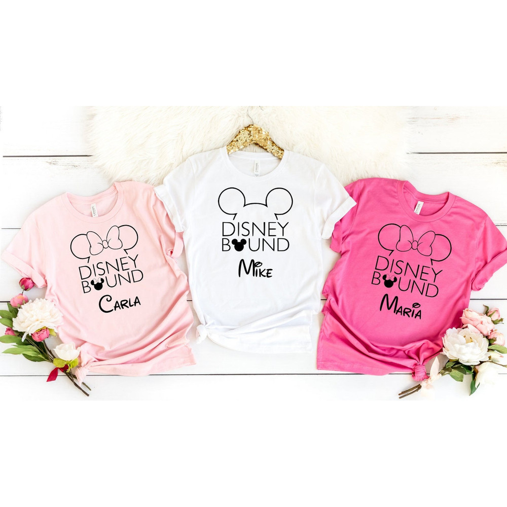 Custom Disney Bound Shirt,Disney Bounding, Girls Disney, Disney Shirts, Disney Vacation, Disney World Shirt, Family Disney, Custom Name - 1.jpg