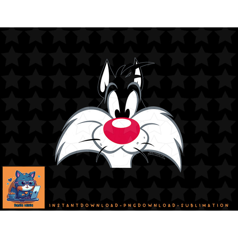Looney Tunes Sylvester Face png, sublimation, digital download.jpg