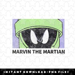 looney tunes marvin the martian close up png, sublimation, digital download