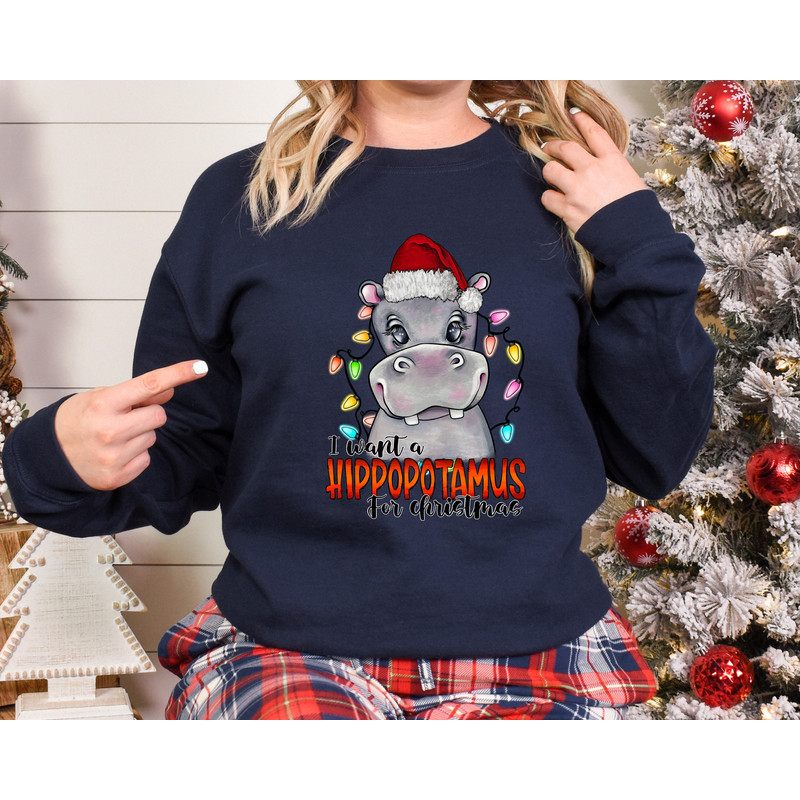 I Want A Hippopotamus For Christmas Sweatshirt,Christmas Hippopotamus Shirt,Funny Christmas Gift Shirt,Christmas Family Shirt,Holiday Gift - 3.jpg